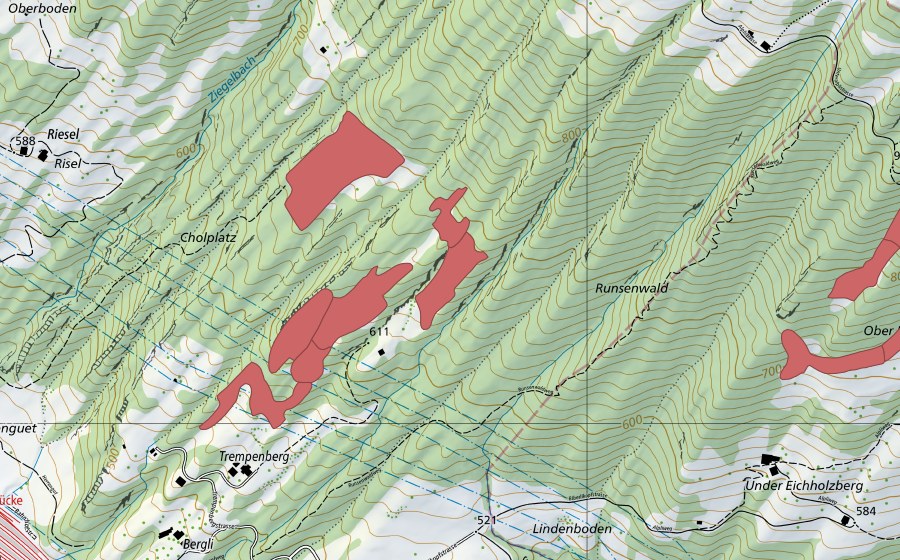 Landeskarte swisstopo mit dem Schutzperimeter von Cholholz (Trockenwiese)