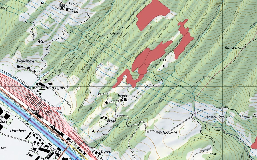 swisstopo national map showing the protected perimeter of Cholholz (Dry meadow)