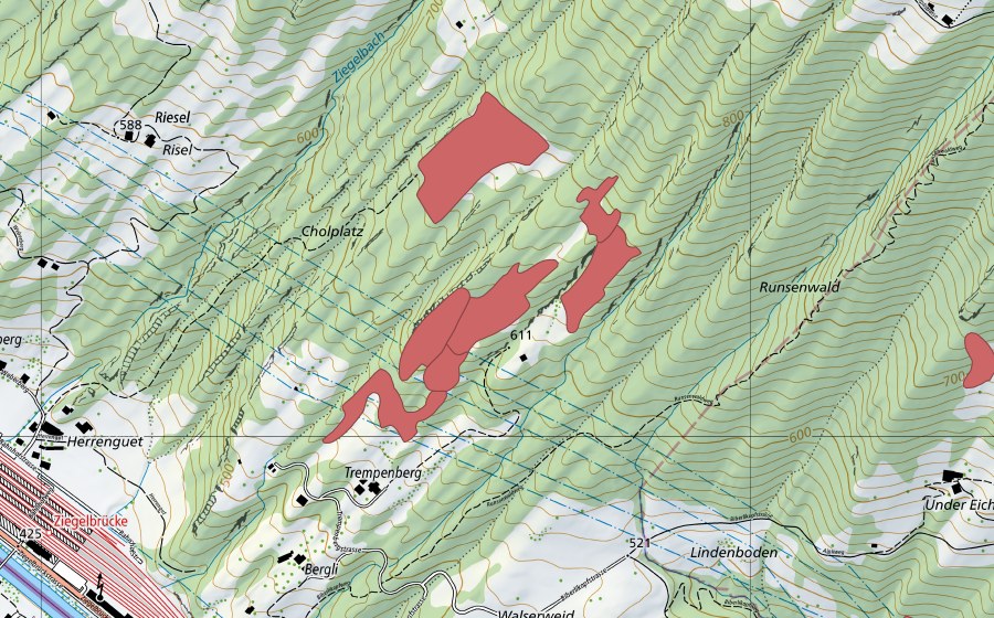 Landeskarte swisstopo mit dem Schutzperimeter von Cholholz (Trockenwiese)