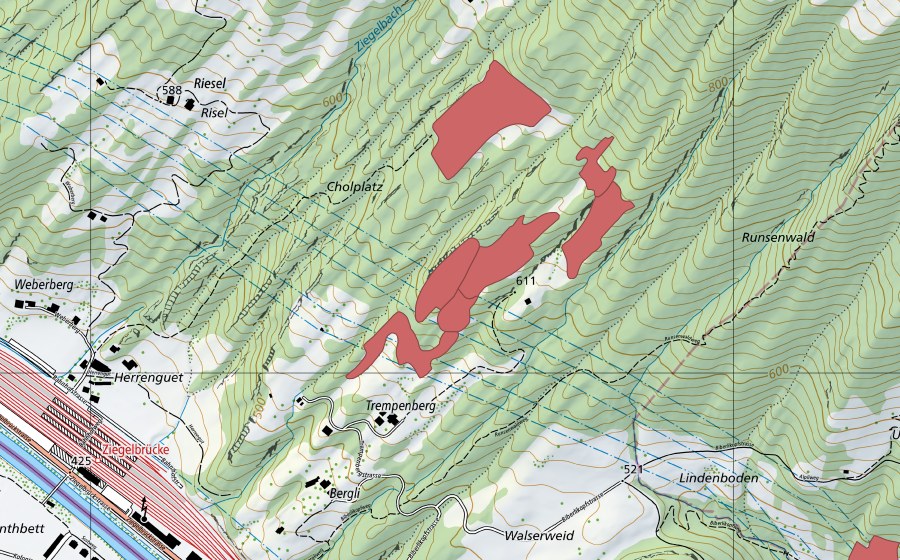 Landeskarte swisstopo mit dem Schutzperimeter von Cholholz (Trockenwiese)