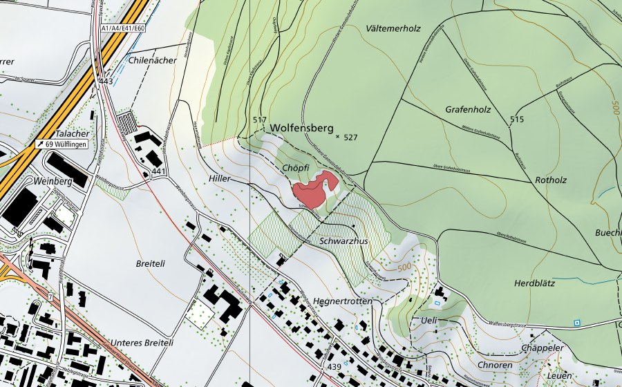 Carte nationale swisstopo avec le périmètre protégé de Chöpfi (Prairie sèche)