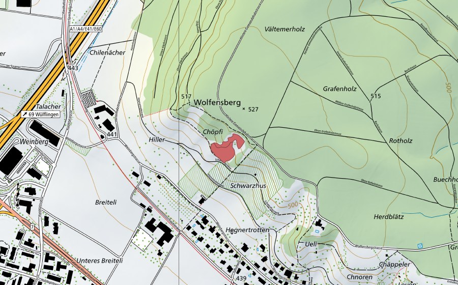 swisstopo national map showing the protected perimeter of Chöpfi (Dry meadow)