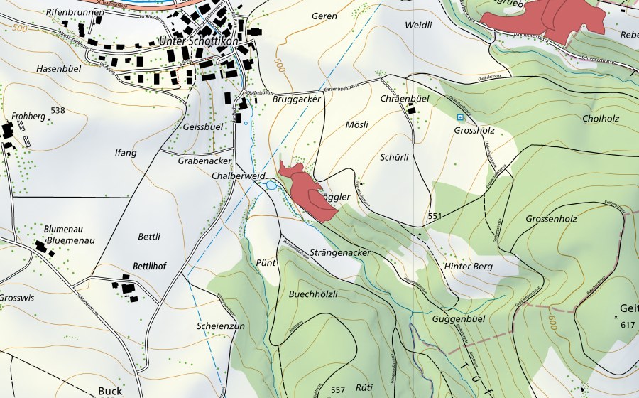 swisstopo national map showing the protected perimeter of Chräenbüel (Dry meadow)