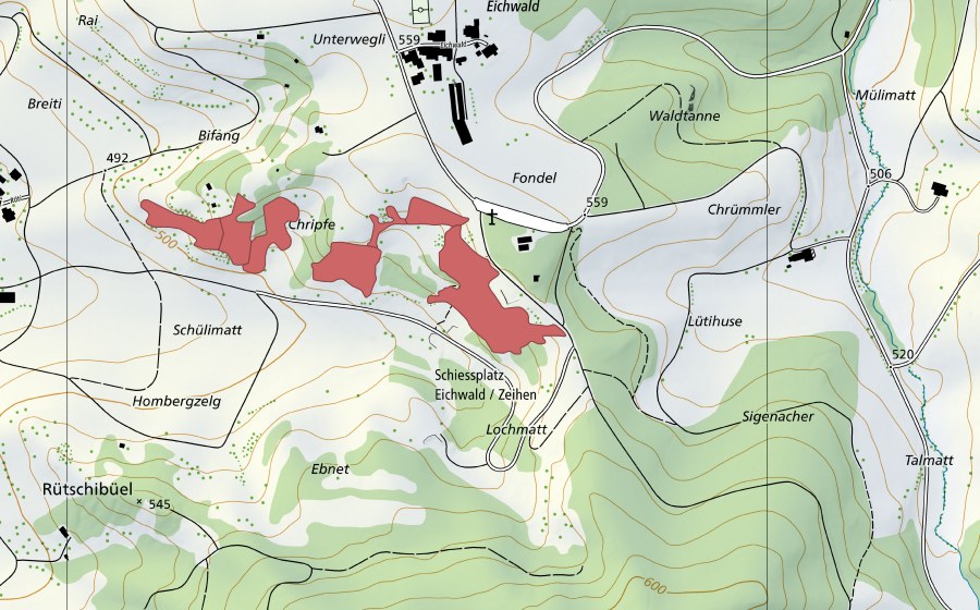 Landeskarte swisstopo mit dem Schutzperimeter von Chripfe (Trockenwiese)