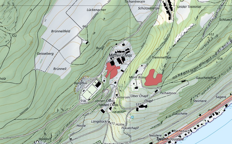 Landeskarte swisstopo mit dem Schutzperimeter von Chros (Trockenwiese)