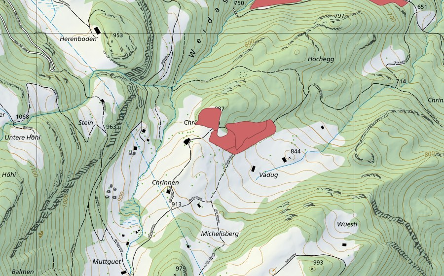 swisstopo national map showing the protected perimeter of Chrüzboden (Dry meadow)