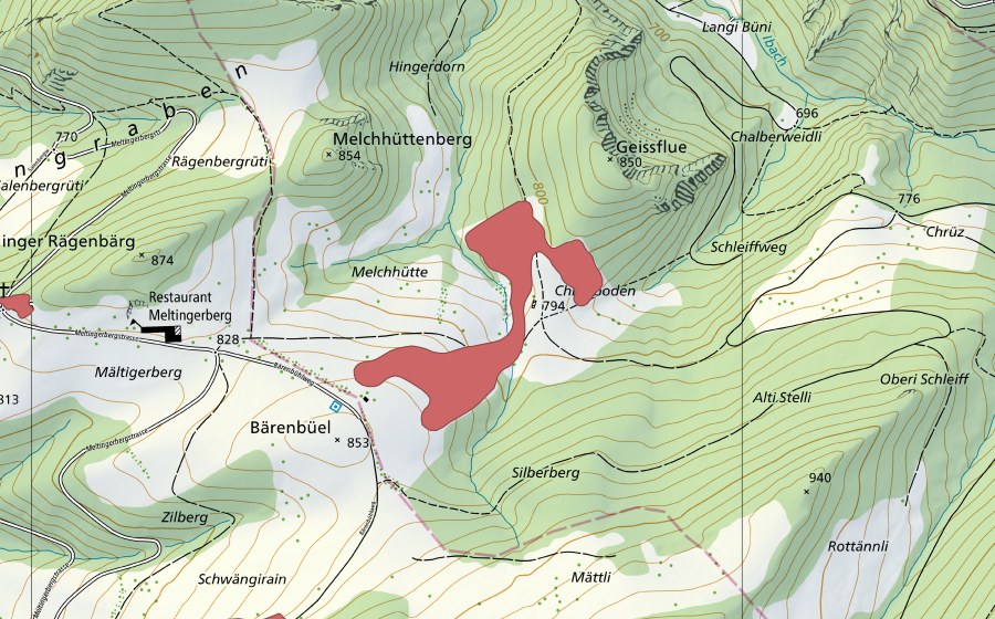 Carta nazionale swisstopo con il perimetro protetto di Chrüzboden (Prato secco)
