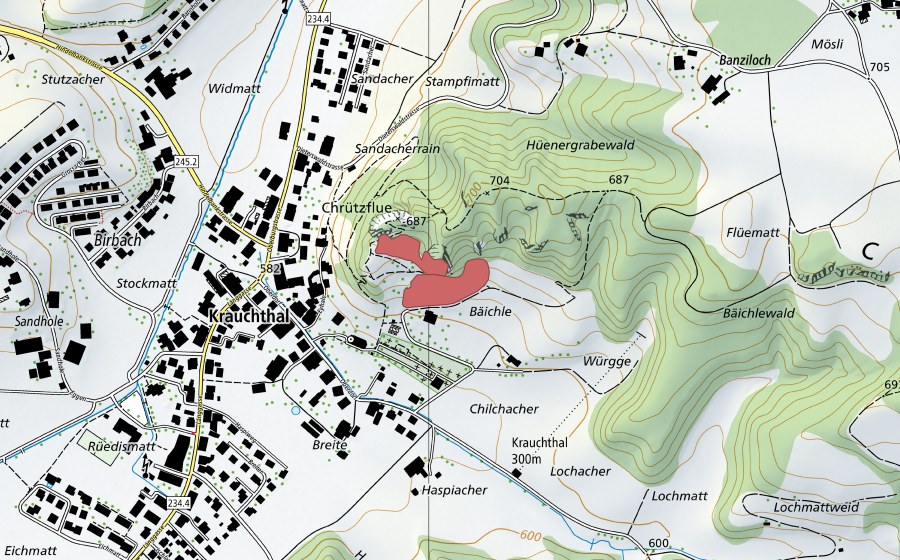 Landeskarte swisstopo mit dem Schutzperimeter von Chrüzflue (Trockenwiese)