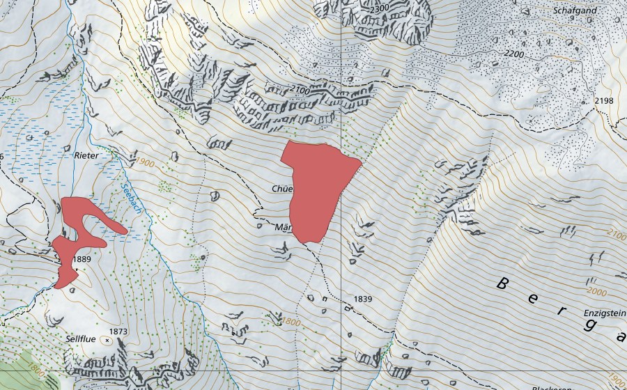 swisstopo national map showing the protected perimeter of Chüenossen (Dry meadow)