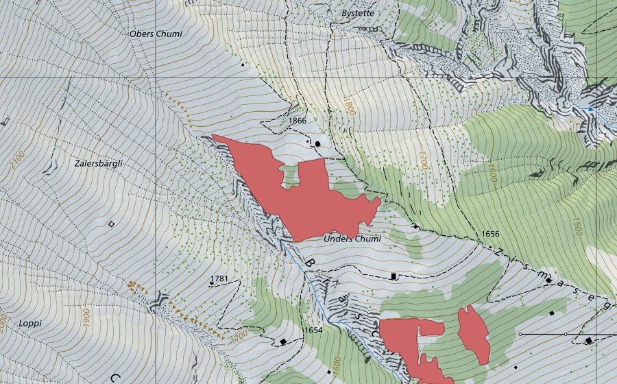 Landeskarte swisstopo mit dem Schutzperimeter von Chumi (Trockenwiese)