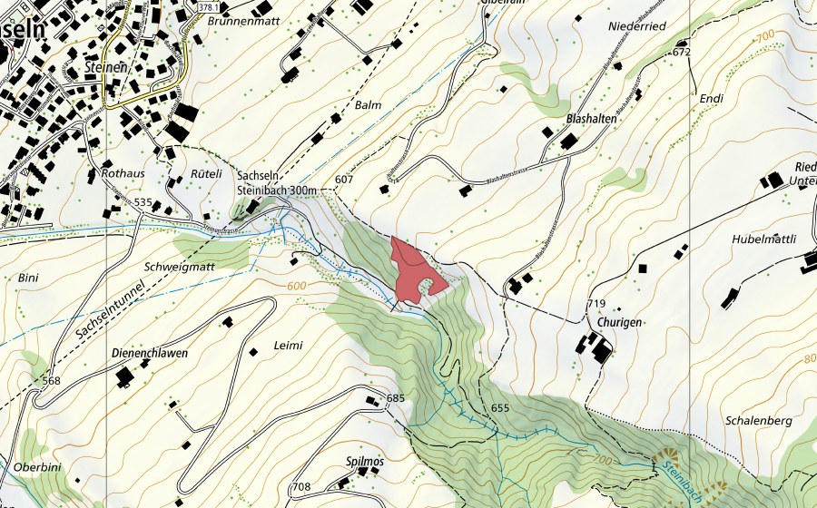 swisstopo national map showing the protected perimeter of Churigen (Dry meadow)