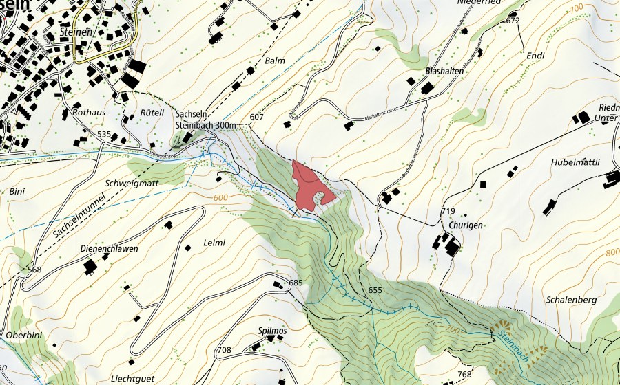 Landeskarte swisstopo mit dem Schutzperimeter von Churigen (Trockenwiese)