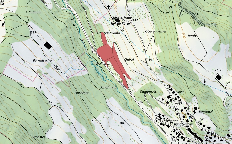 Carta nazionale swisstopo con il perimetro protetto di Chürzi (Prato secco)