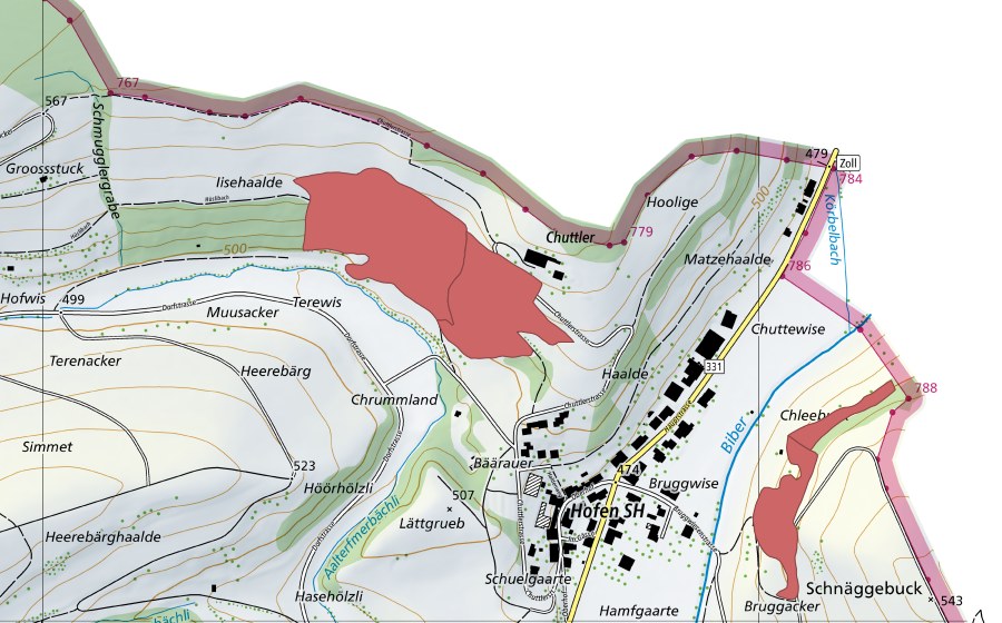 Carte nationale swisstopo avec le périmètre protégé de Chuttler (Prairie sèche)