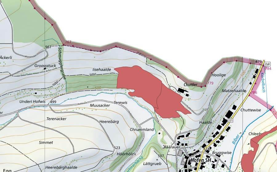 swisstopo national map showing the protected perimeter of Chuttler (Dry meadow)