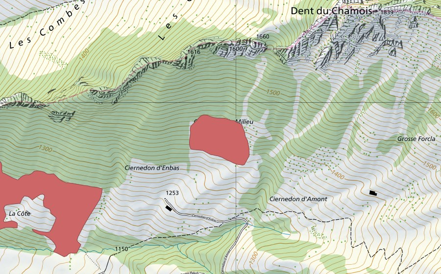 Landeskarte swisstopo mit dem Schutzperimeter von Ciernedon (Trockenwiese)