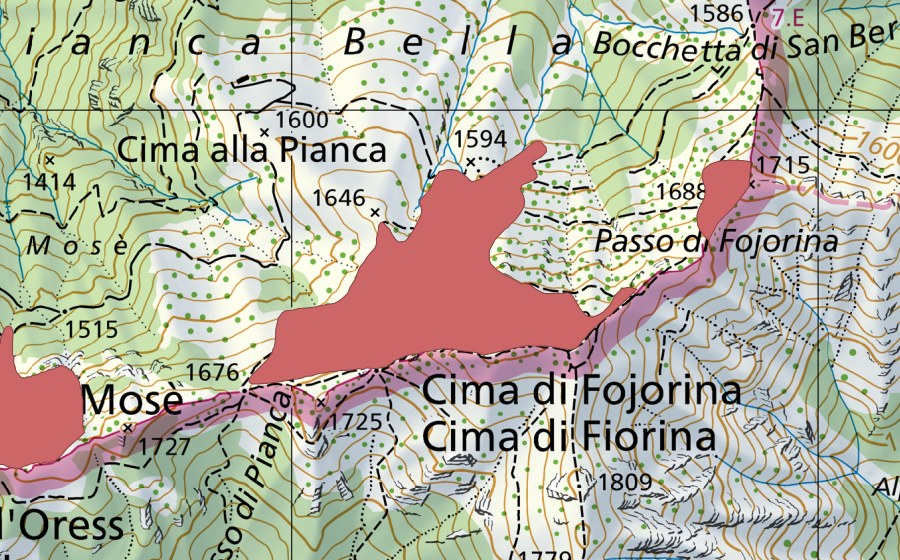 Landeskarte swisstopo mit dem Schutzperimeter von Cima di Fojorina (Trockenwiese)