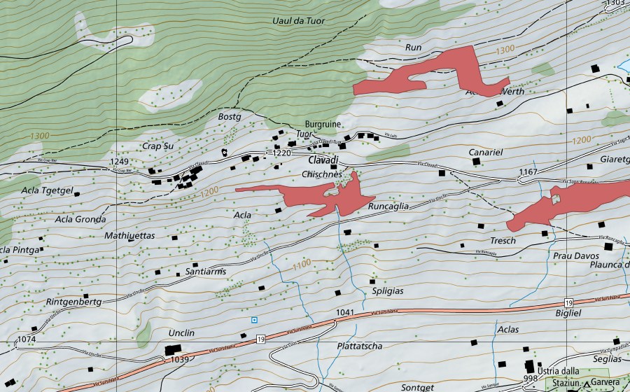 swisstopo national map showing the protected perimeter of Clavadi (Dry meadow)