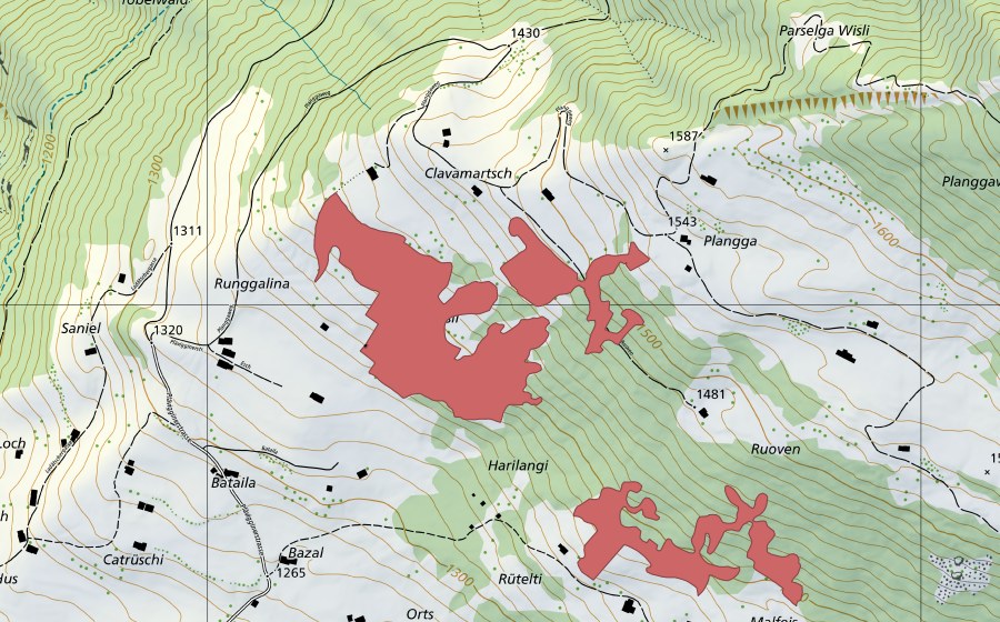 swisstopo national map showing the protected perimeter of Clavamartsch (Dry meadow)