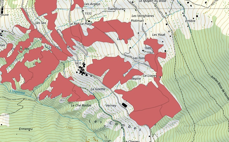 Landeskarte swisstopo mit dem Schutzperimeter von Clèbes (Trockenwiese)