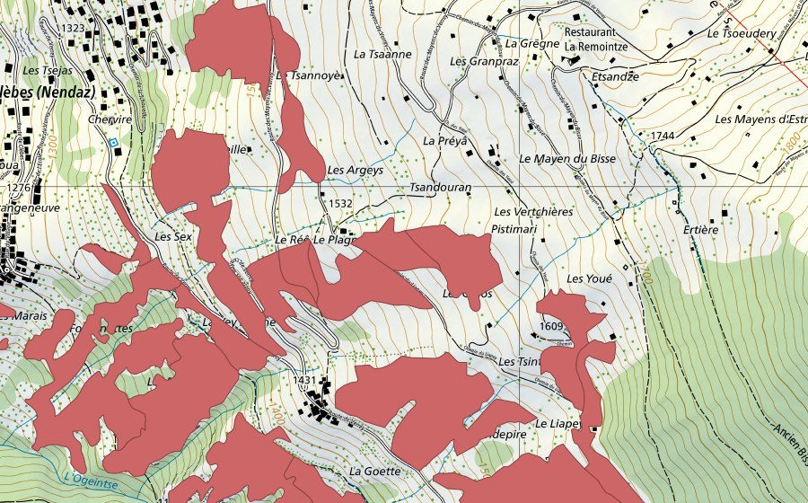 swisstopo national map showing the protected perimeter of Clèbes (Dry meadow)