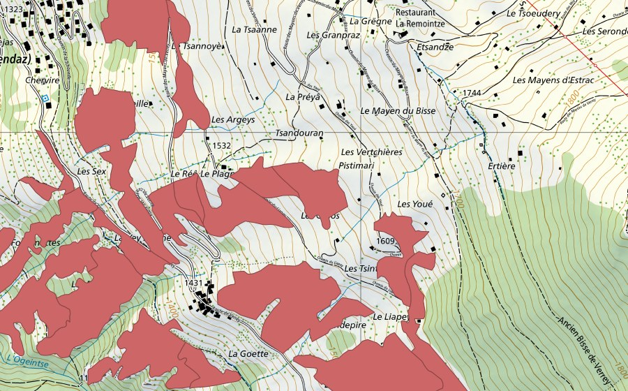 swisstopo national map showing the protected perimeter of Clèbes (Dry meadow)