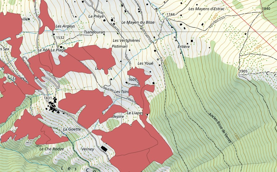 swisstopo national map showing the protected perimeter of Clèbes (Dry meadow)