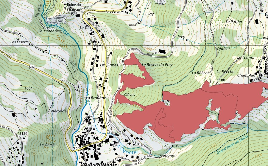 swisstopo national map showing the protected perimeter of Clèbes (Dry meadow)