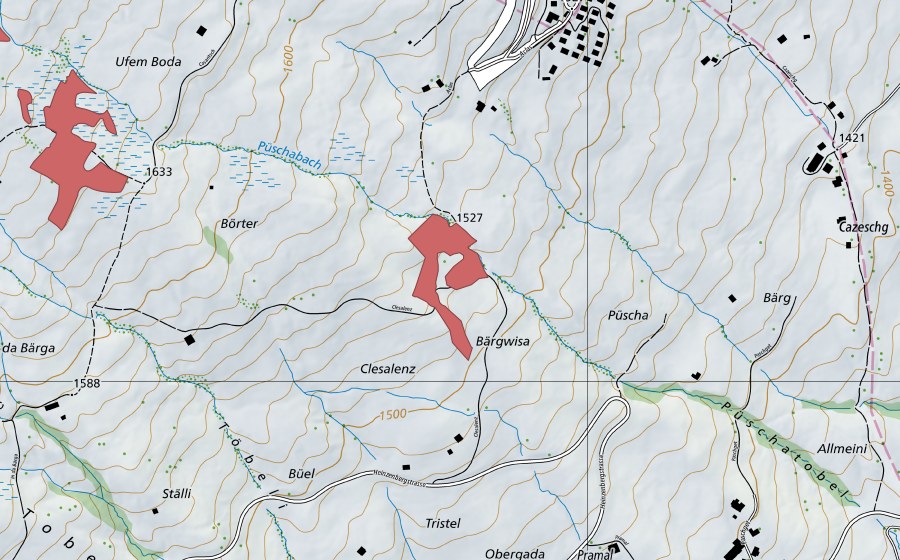 swisstopo national map showing the protected perimeter of Clesalenz (Dry meadow)