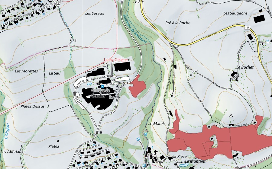 swisstopo national map showing the protected perimeter of Clin. La Joy (Dry meadow)