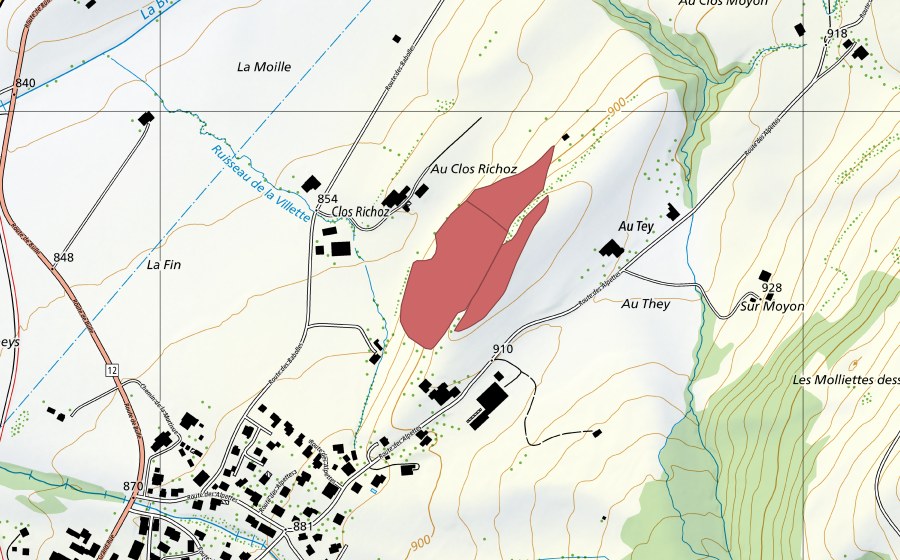 Landeskarte swisstopo mit dem Schutzperimeter von Clos Richoz (Trockenwiese)