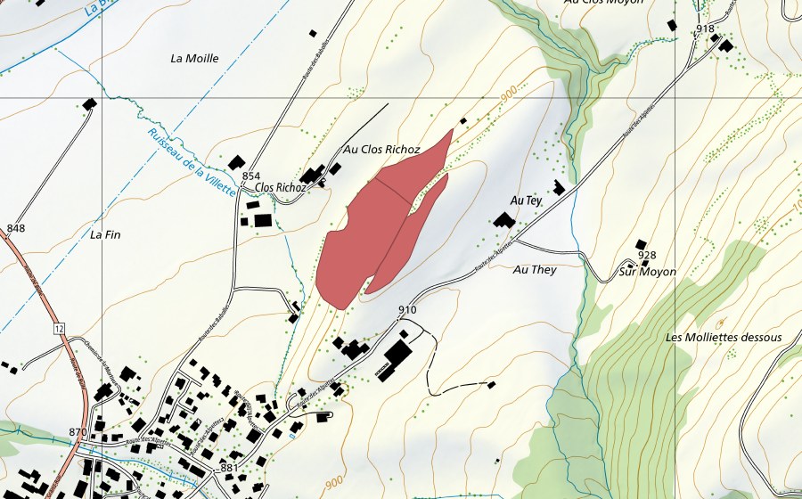 swisstopo national map showing the protected perimeter of Clos Richoz (Dry meadow)