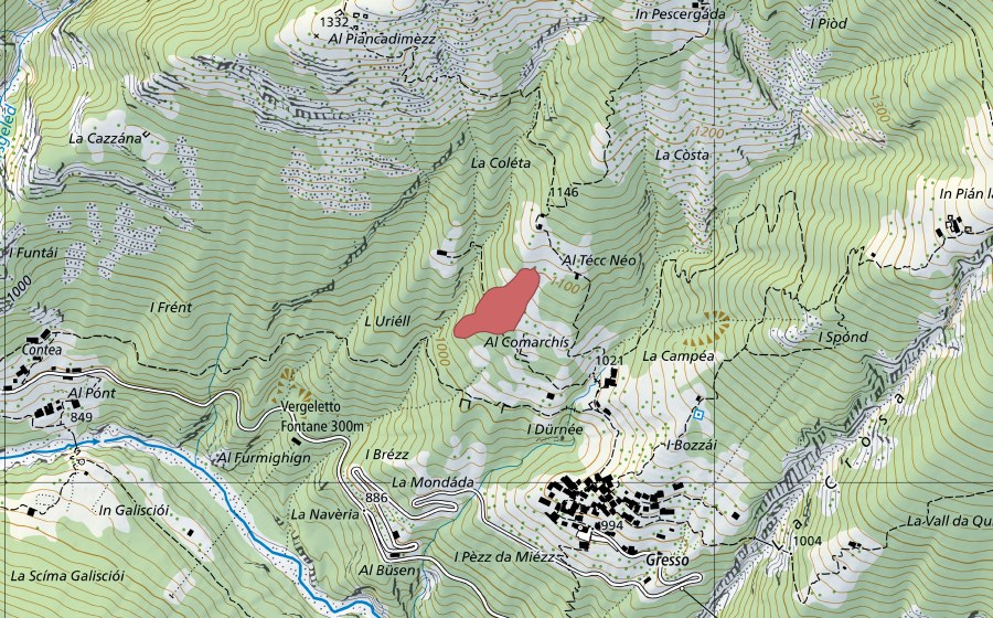 swisstopo national map showing the protected perimeter of Coleta (Dry meadow)
