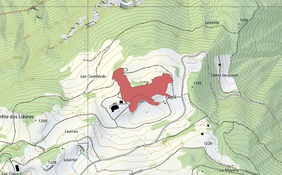 Landeskarte swisstopo mit dem Schutzperimeter von Coma (Trockenwiese)