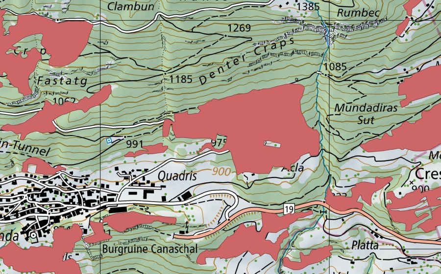 swisstopo national map showing the protected perimeter of Coma (Dry meadow)