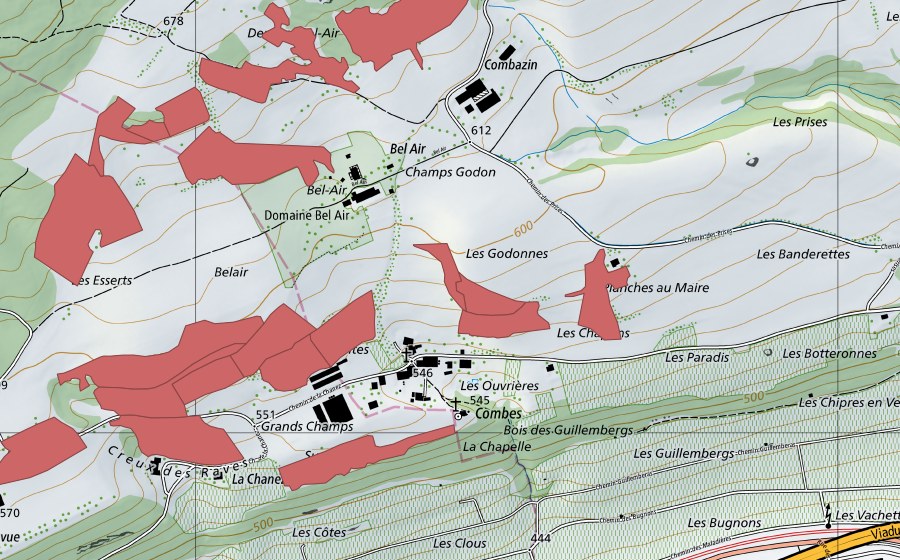 swisstopo national map showing the protected perimeter of Combes (Dry meadow)