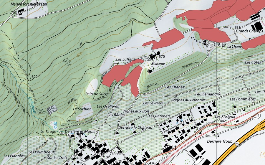 Landeskarte swisstopo mit dem Schutzperimeter von Combes (Trockenwiese)