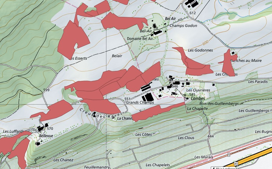 Landeskarte swisstopo mit dem Schutzperimeter von Combes (Trockenwiese)