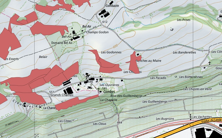 swisstopo national map showing the protected perimeter of Combes (Dry meadow)
