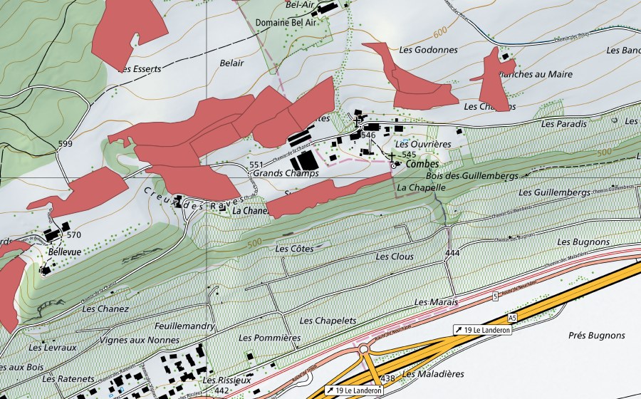 Landeskarte swisstopo mit dem Schutzperimeter von Combes (Trockenwiese)