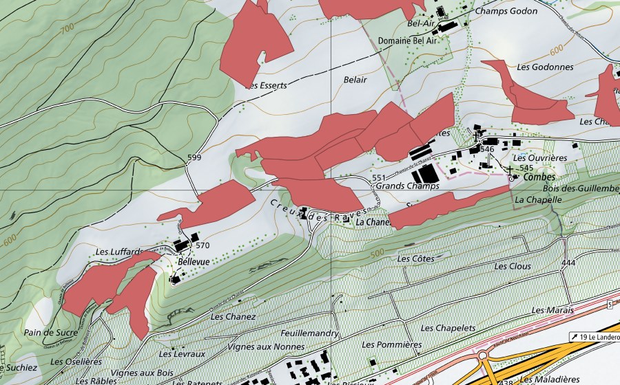 Landeskarte swisstopo mit dem Schutzperimeter von Combes (Trockenwiese)