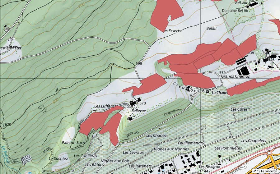 Landeskarte swisstopo mit dem Schutzperimeter von Combes (Trockenwiese)