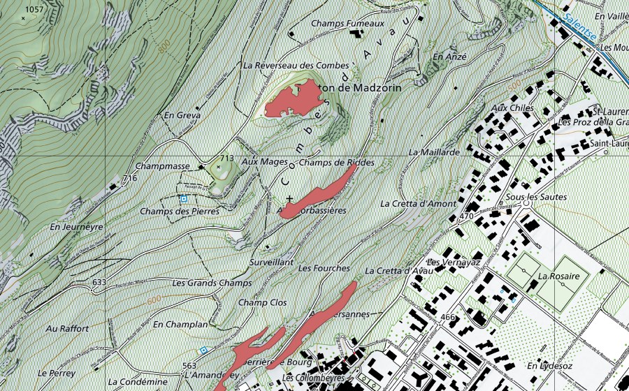 Landeskarte swisstopo mit dem Schutzperimeter von Corbassières (Trockenwiese)