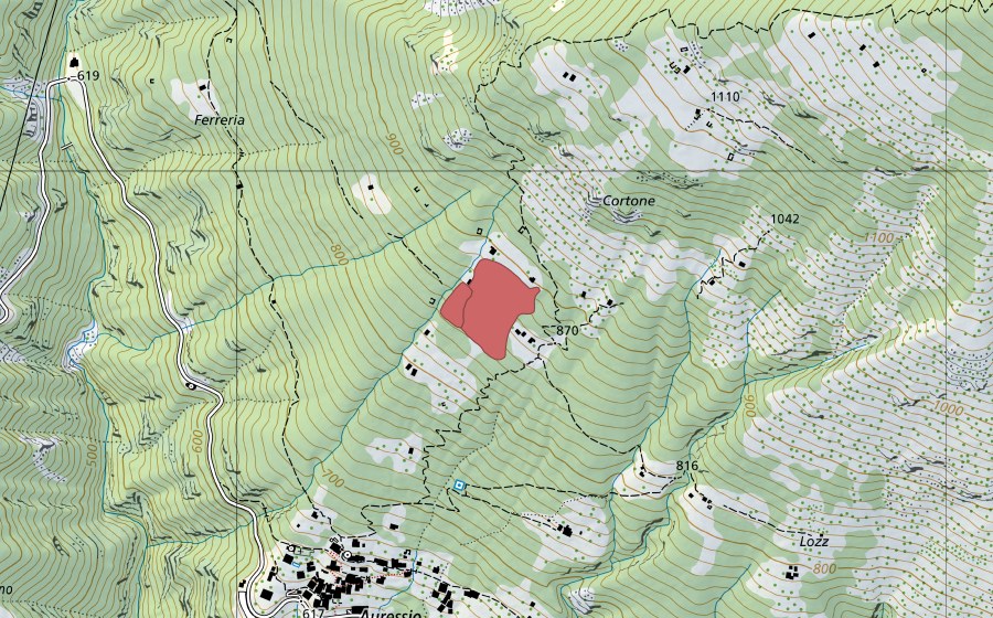 Carte nationale swisstopo avec le périmètre protégé de Cortone (Prairie sèche)