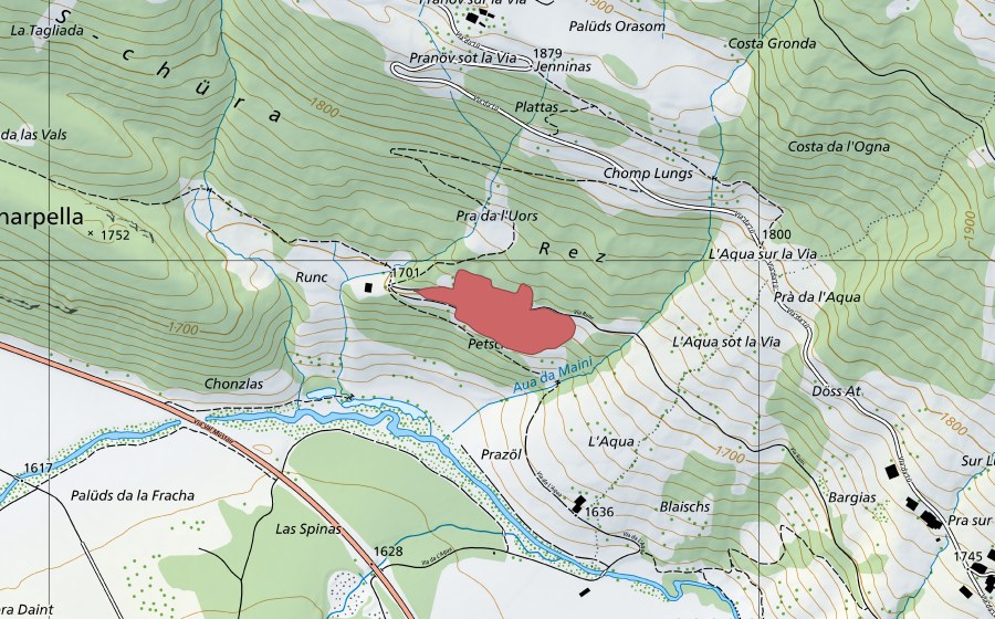 Landeskarte swisstopo mit dem Schutzperimeter von Costas (Trockenwiese)