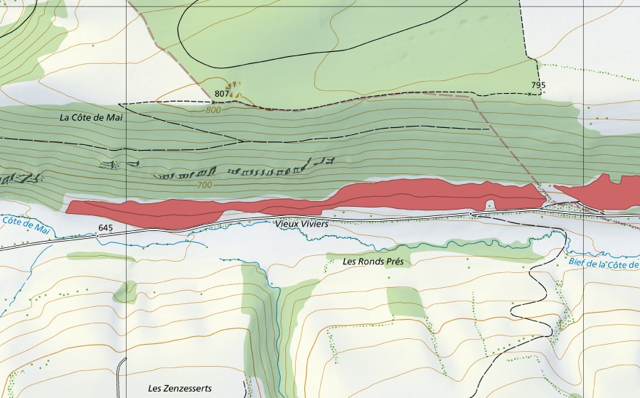 swisstopo national map showing the protected perimeter of Côte de Mai (Dry meadow)