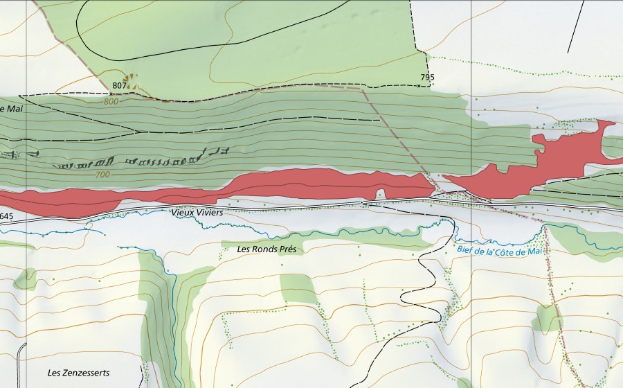 Landeskarte swisstopo mit dem Schutzperimeter von Côte de Mai (Trockenwiese)