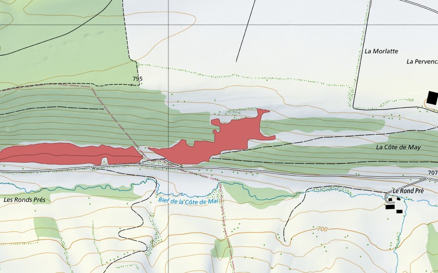 Landeskarte swisstopo mit dem Schutzperimeter von Côte de Mai (Trockenwiese)