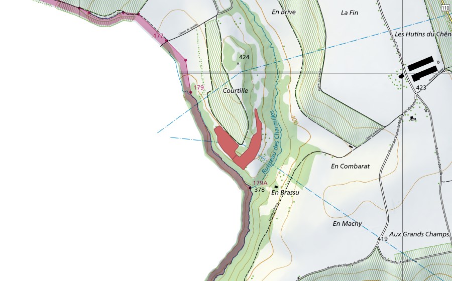 Landeskarte swisstopo mit dem Schutzperimeter von Courtille (Trockenwiese)