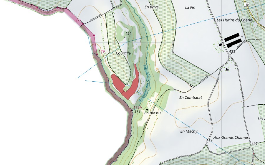 Landeskarte swisstopo mit dem Schutzperimeter von Courtille (Trockenwiese)